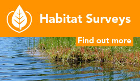 Habitat surveys