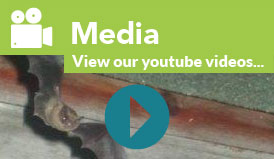 Media - View our videos