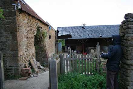 Bat surveyors carrying out a bat survey