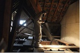 Inspecting a roof void for evidence of bats