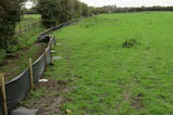 Newt fencing on a development site