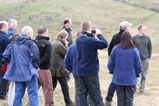 Ecological consultant training near Hexham, Northumberland