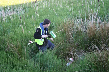 Newt survey being conducted